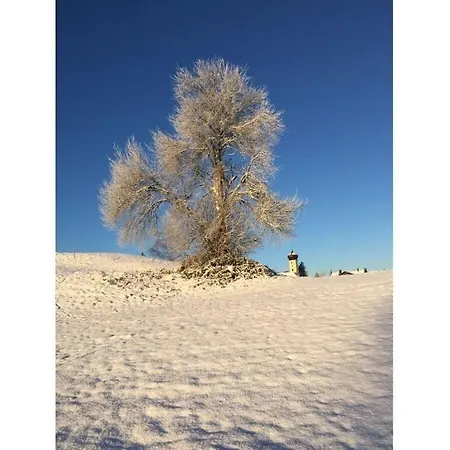 Pleasant In * Oberreute