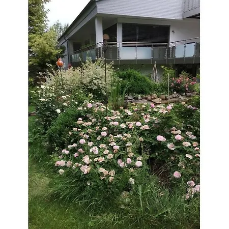 Apartament Pleasant In Oberreute