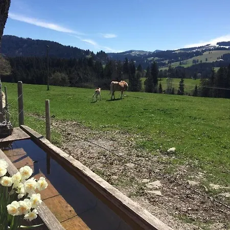 Pleasant In Oberreute